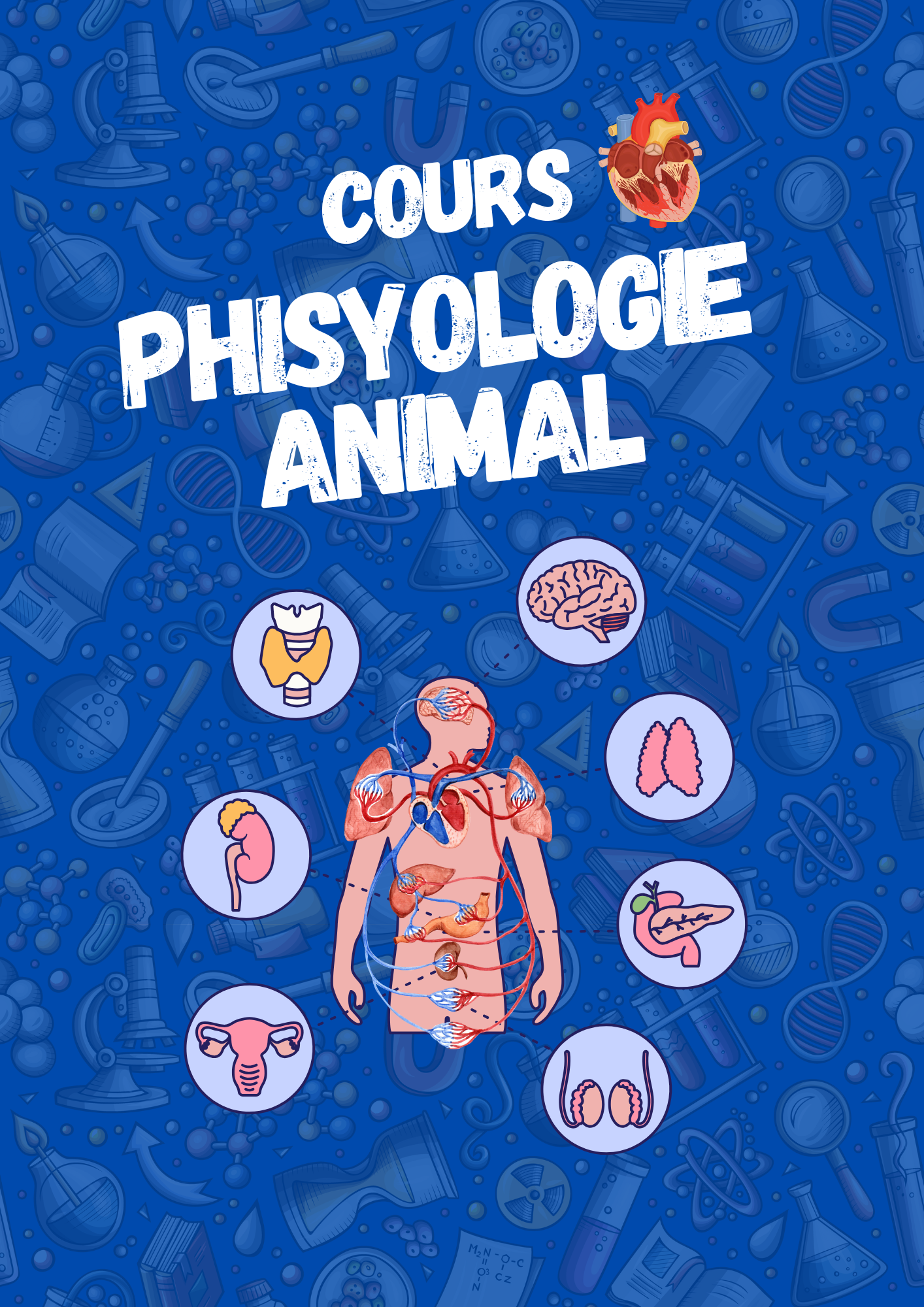 Physiologie animal (Résumé)