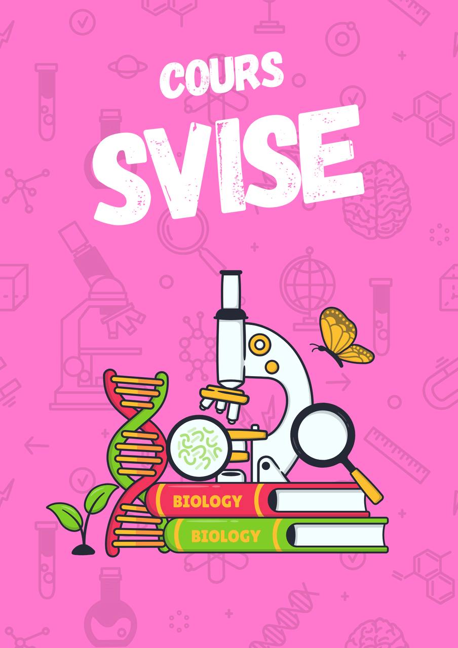 Cours SVISE