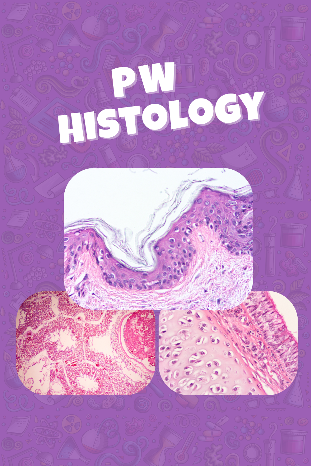 Practical work animal biology (Histology)