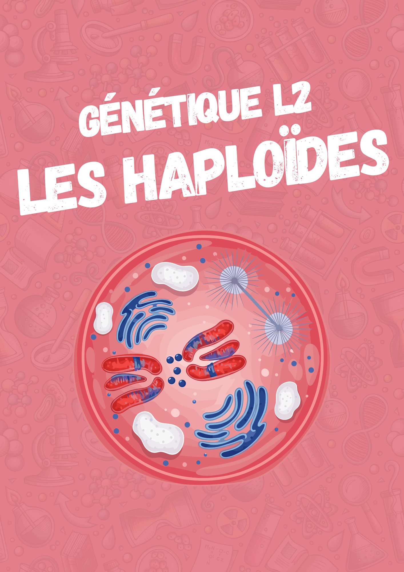 Les conséquences de la méiose sur les individus Haploïdes.