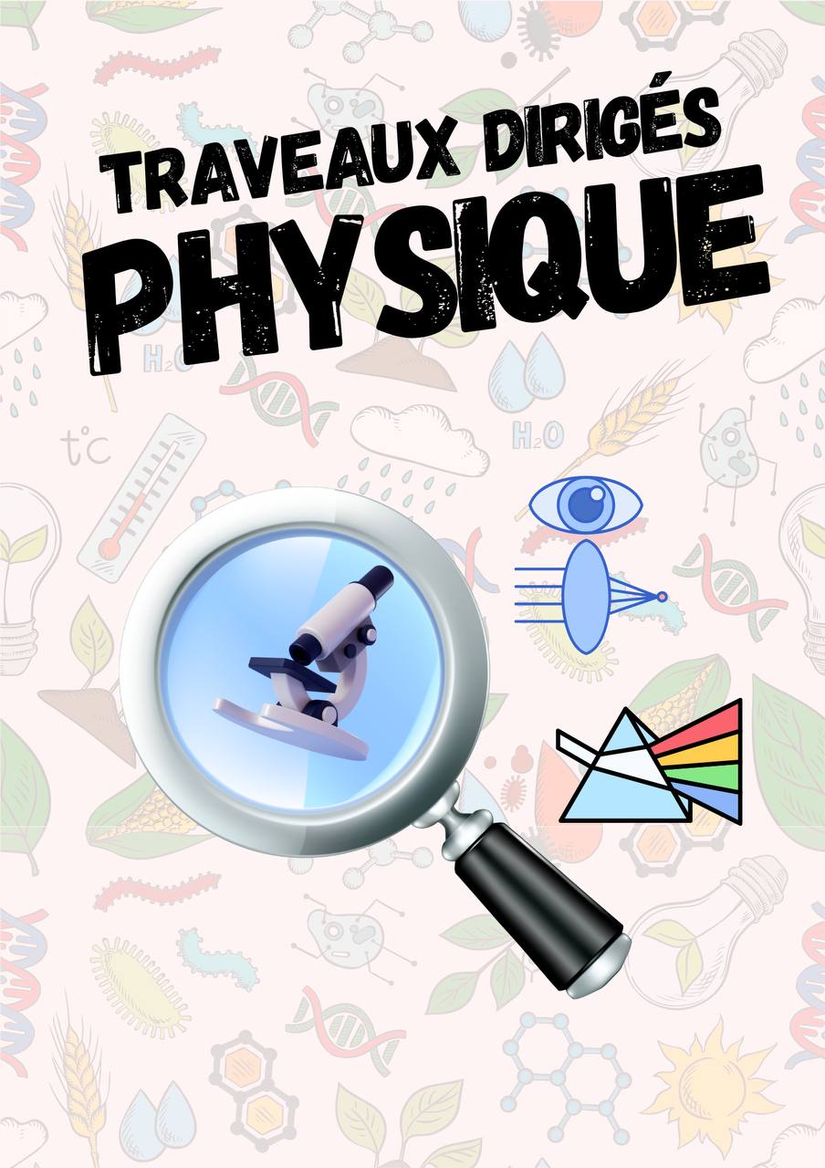 TD Physique