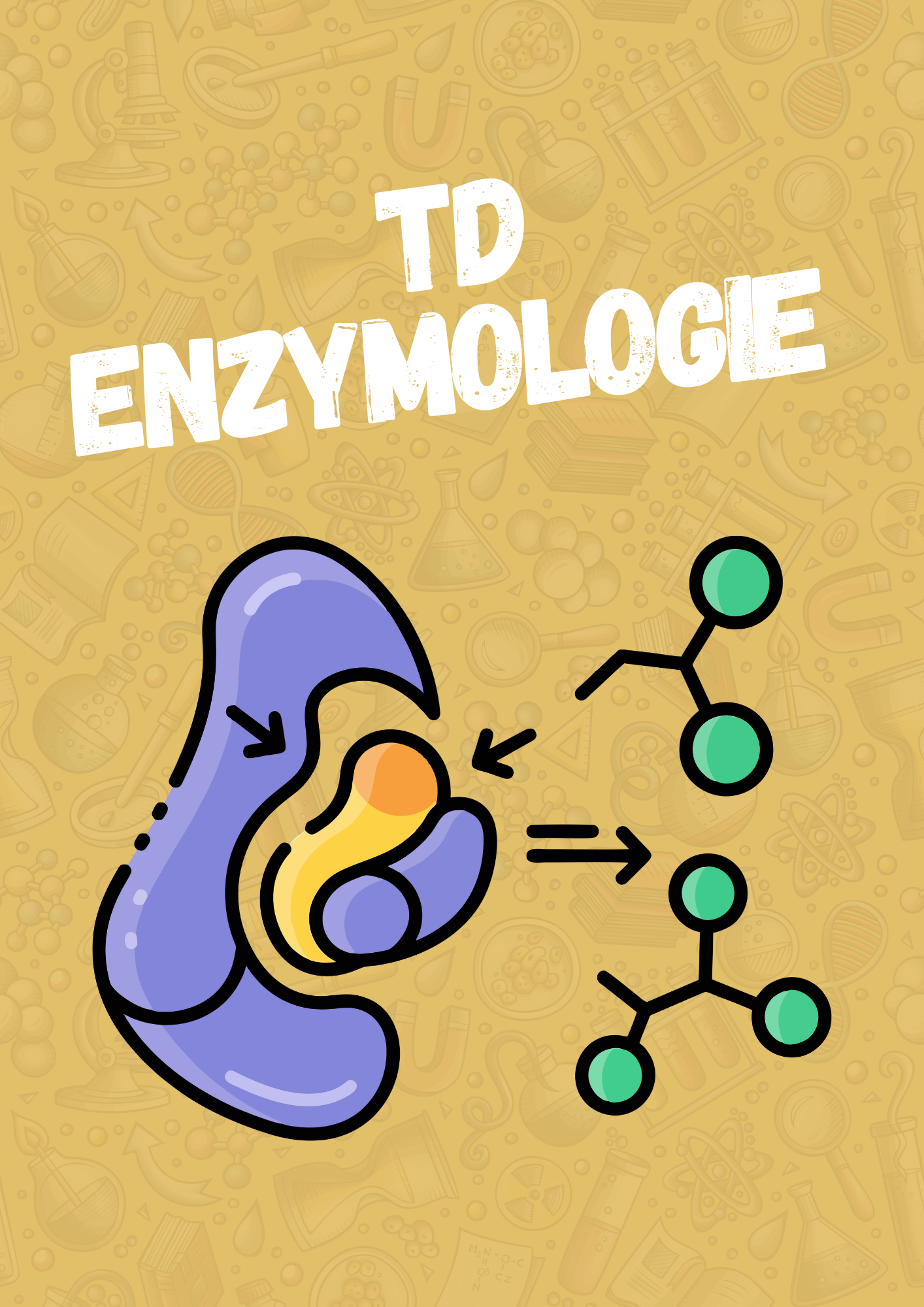 TD enzymologie (L3 biochimie).